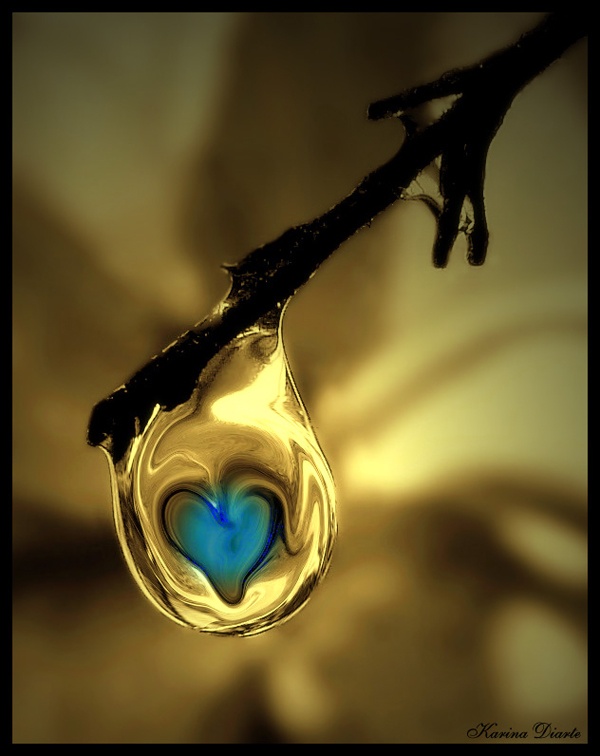 A Drop of Love ♥