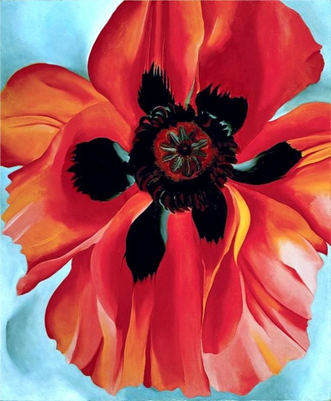 Red Poppy VI by Georgia O'Keeffe