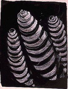 1450271_528066893953896_1453369376_n