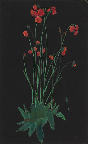 Bishop_Red_Flowers_on_Back_nd_gouache0