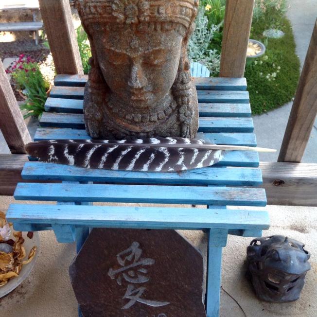 10377081_10203059511863672_7815978003273055975_n